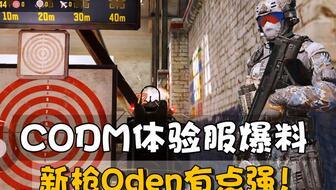 codm体验服最新爆料,神秘武器登场,战场格局再起风云 第2张 codm体验服最新爆料,神秘武器登场,战场格局再起风云 第2张